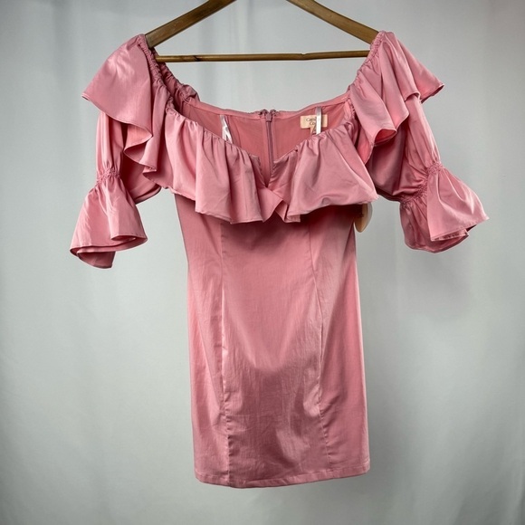 NWT Camila Coelho Violet Mini Dress in Baby Pink Size Small - Picture 4 of 12